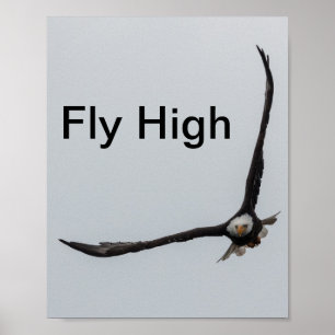 Poster Oiseau d'aigle à chauve Inspiration de vol Nature