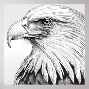 Poster Oiseau d'aigle Nature sauvage Illustration animale