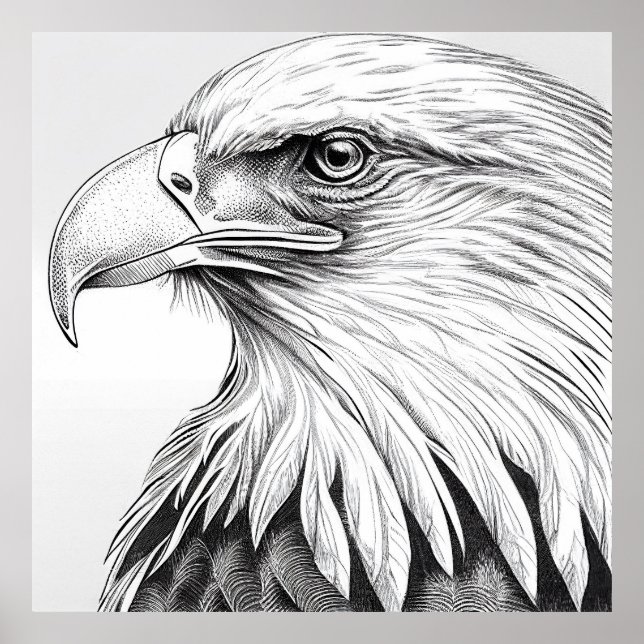 Poster Oiseau d'aigle Nature sauvage Illustration animale (Devant)
