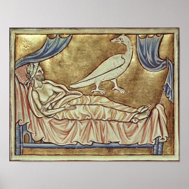 Poster Oiseau de Caladrius, réputé pour prédire (Devant)