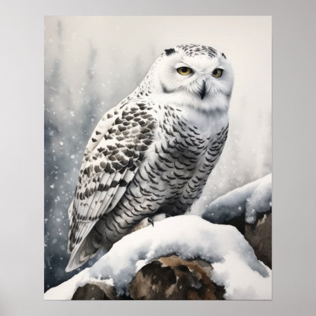 Poster Oiseau de Chouette Neige Art Imprimer l'affiche (Devant)