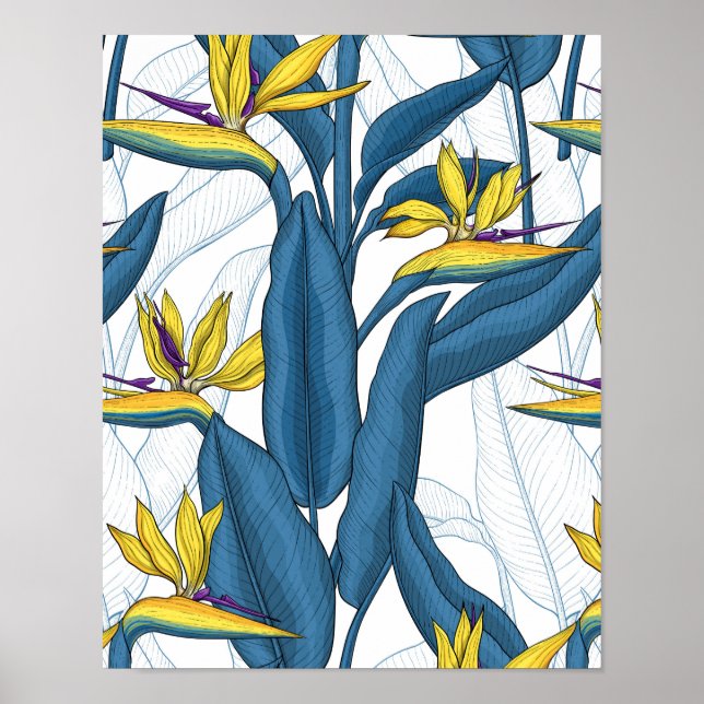 Poster Oiseau de fleurs de paradis sur blanc (Devant)