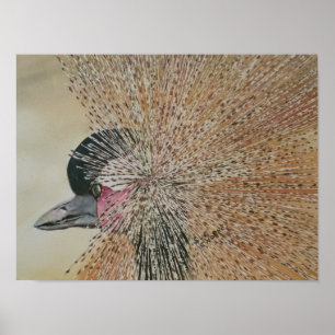 Poster Oiseau de grue africain exceptionnel