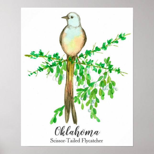 Poster Oiseau de l'État de l'Oklahoma ciseau à queue plat (Devant)