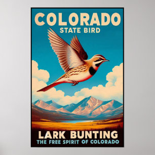 Poster Oiseau de l'État du Colorado - Bruant sauterelle V