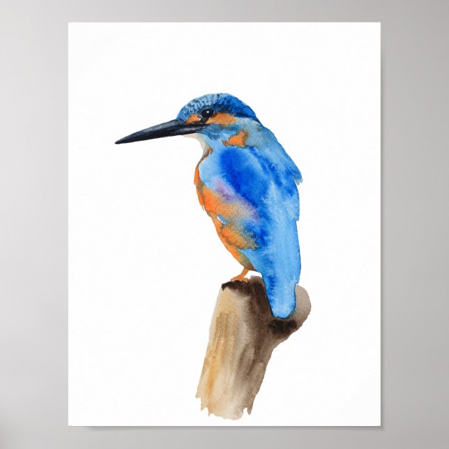 Poster Oiseau de martin-pêcheur bleu (Devant)