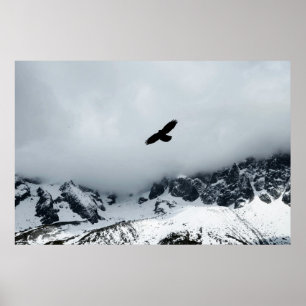 Poster Oiseau de montagne enneigé Posted