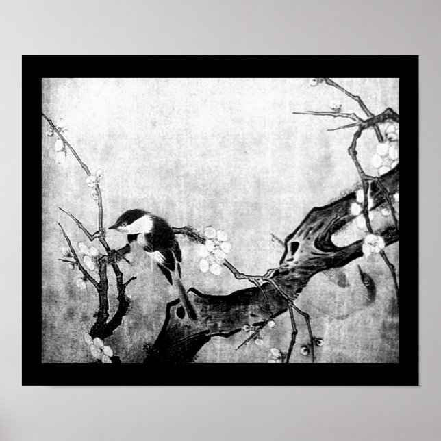 Poster OISEAU DE PRINTEMPS ET ARBRE FLEURI Noir Blanc Gri (Devant)