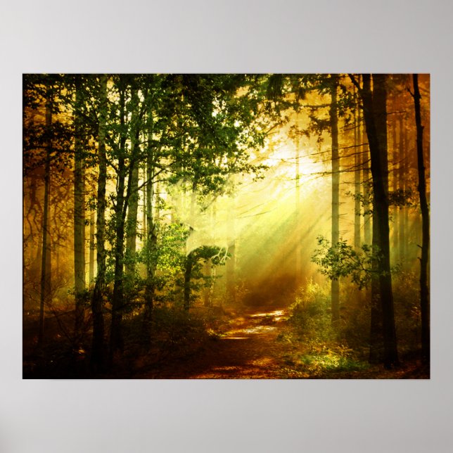 Poster Oiseau de soleil (Devant)