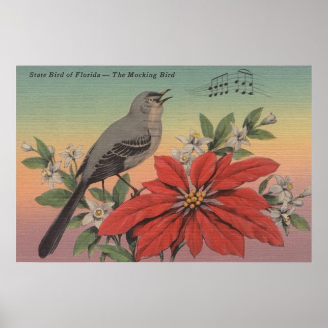 Poster Oiseau d'État de FlorideMocking Oiseau de Floride (Devant)