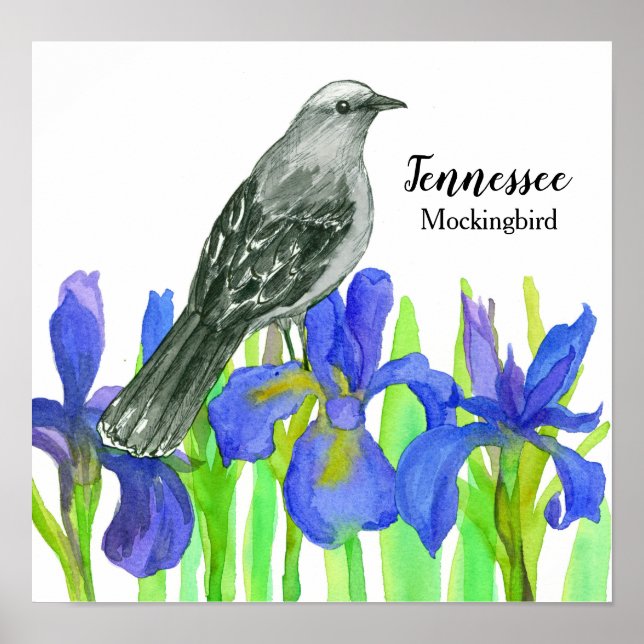 Poster Oiseau d'état de Mockingbird dans le Tennessee (Devant)