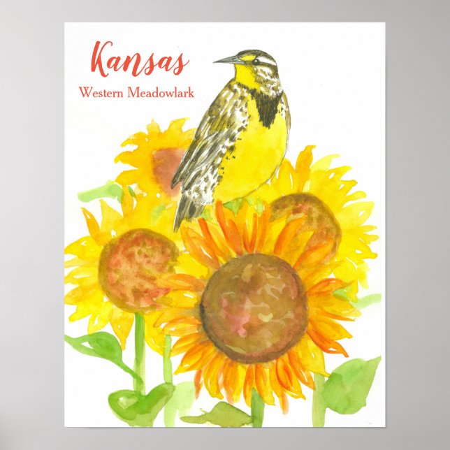 Poster Oiseau d'État du Kansas Meadowlark Tournesol (Devant)