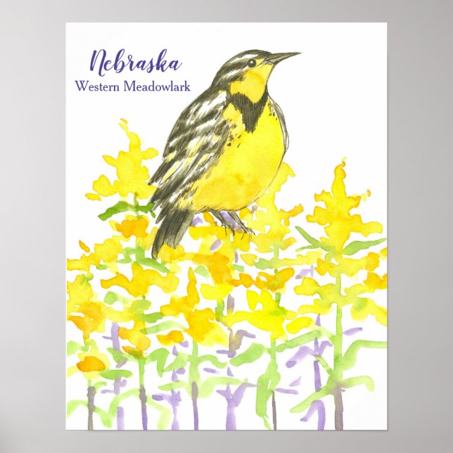 Poster Oiseau d'État du Nebraska Ouest Meadowlark (Devant)
