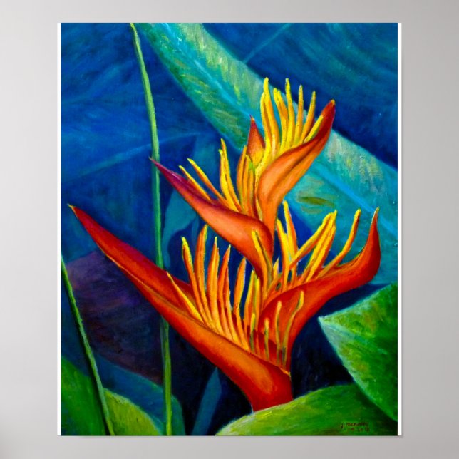 Poster Oiseau du Paradis (Devant)