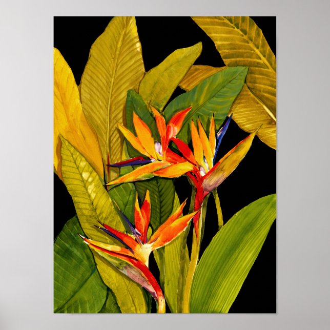Poster Oiseau du Paradis (Devant)