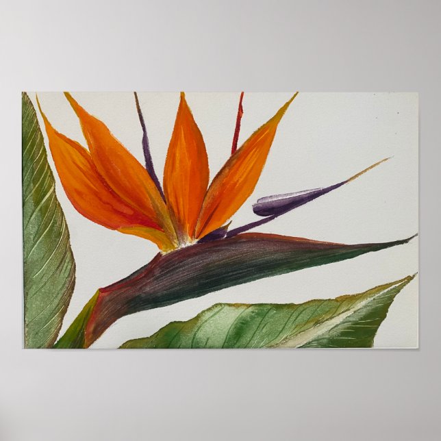 Poster "Oiseau du Paradis" (Devant)