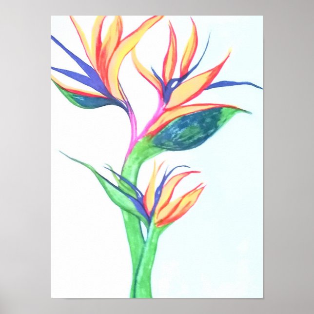 Poster Oiseau du Paradis I (Devant)