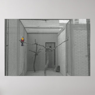 Poster Oiseau en cage