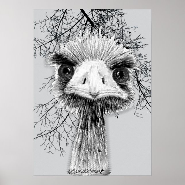 Poster Oiseau en colère (Devant)