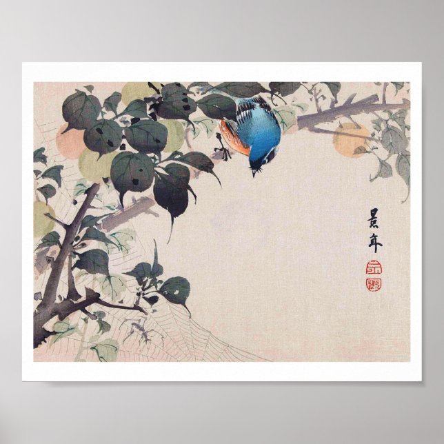 Poster Oiseau et araignée, Imao Keinen (Devant)