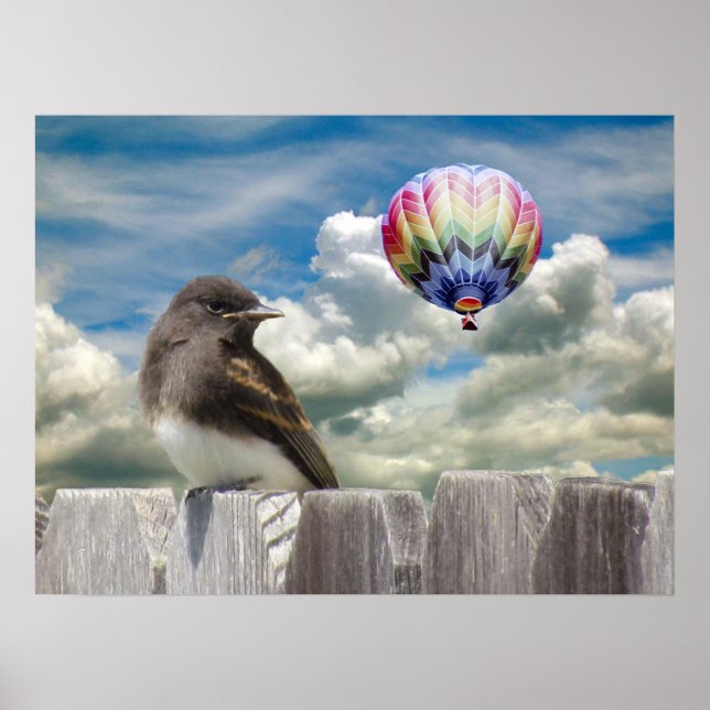 Poster - Oiseau et montgolfière (Devant)
