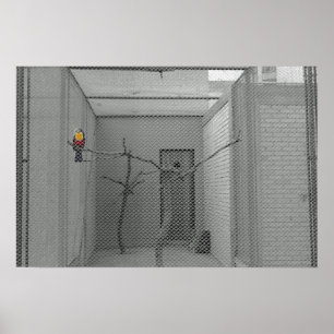 Poster Oiseau mis en cage