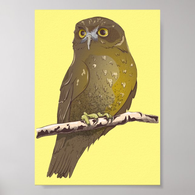 Poster Oiseau Morepork RURU NZ (Devant)