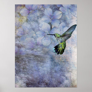 Poster oiseau-mouche