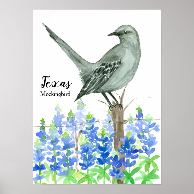 Poster Oiseau-mouche du Texas (Devant)