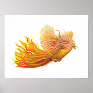 Poster Oiseau phénix légendaire