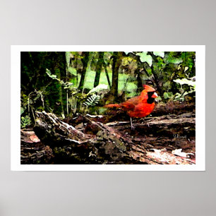 POSTER OISEAU ROUGE
