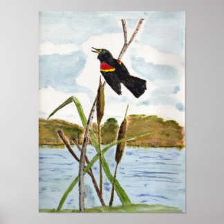 Poster Oiseau roux