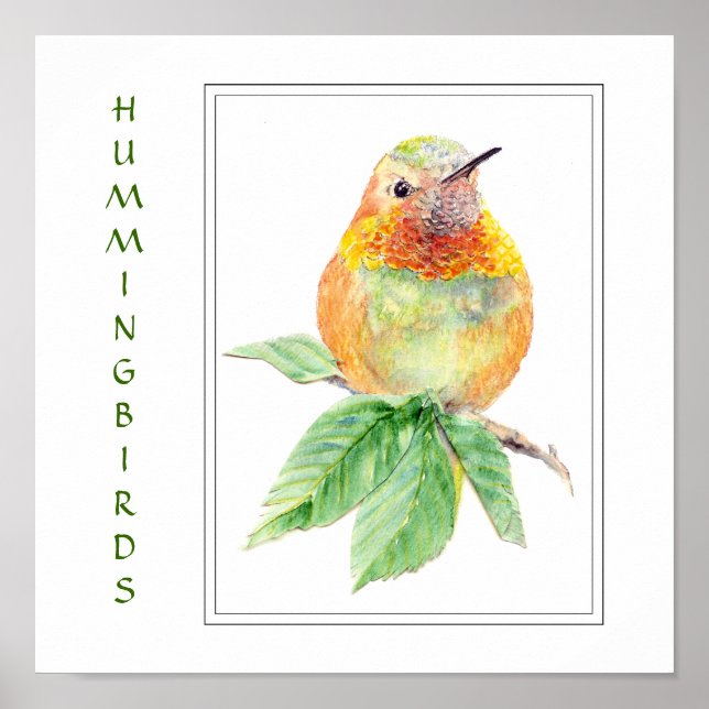 Poster Oiseau roux - Collection d'oiseaux (Devant)