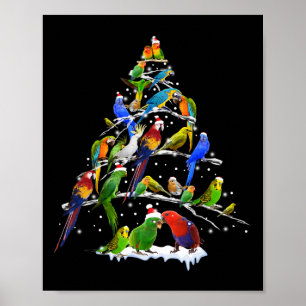 Poster Oiseau sapin de Noël Drôle Amateurs d'oiseaux de N