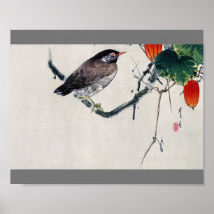 Poster Oiseau sur une branche de Trichosanthes, Watanabe 