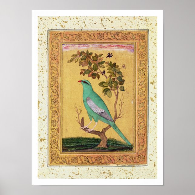 Poster Oiseau vert, Mughal (gouache sur papier) (Devant)