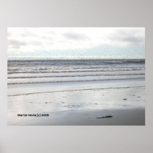 Poster Oiseaux à Watsonville Beach