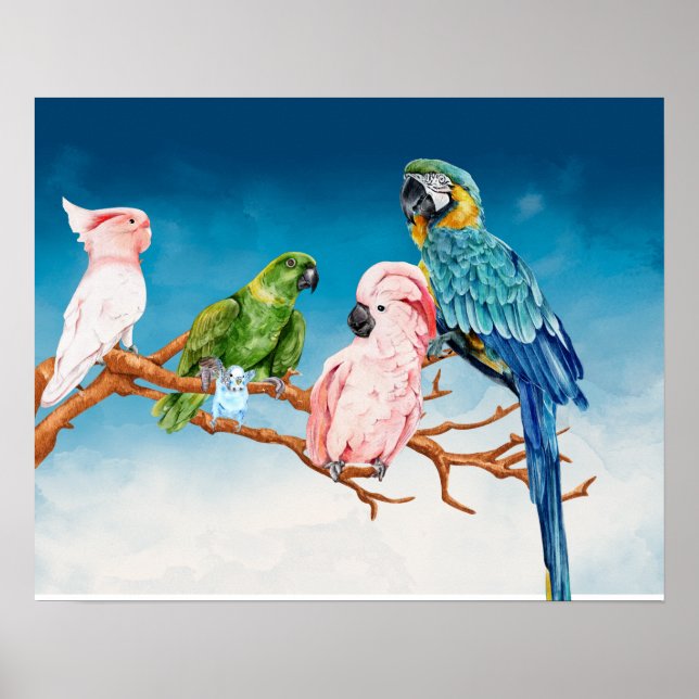 Poster Oiseaux Aquarelle Parrot Macaw Cockatoo Parakeet (Devant)