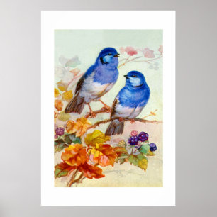 Poster Oiseaux bleus