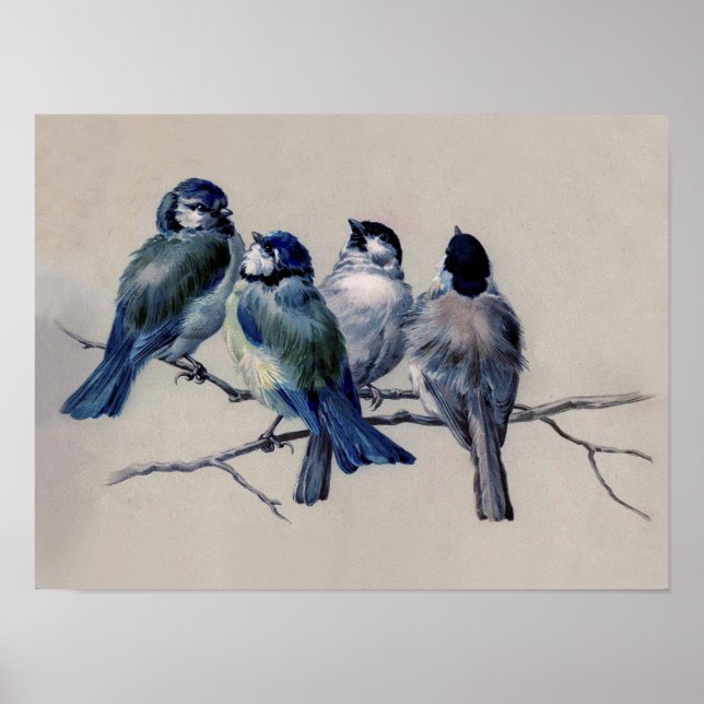 Poster Oiseaux bleus et gris poussiéreux sur une aquarell (Devant)