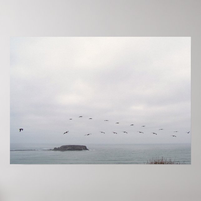 Poster Oiseaux dans l'affiche en vol (Devant)