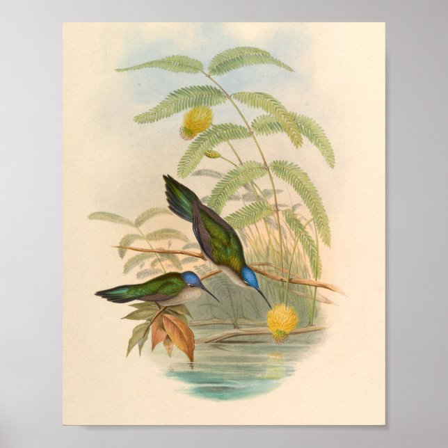 Poster Oiseaux d'art vintages Fleurs d'impression (Devant)