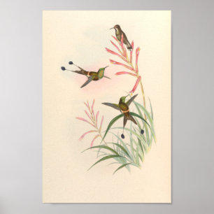 Poster Oiseaux d'art vintages Fleurs d'impression
