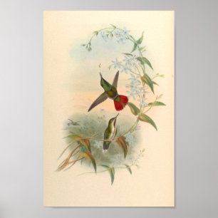Poster Oiseaux d'art vintages Fleurs d'impression
