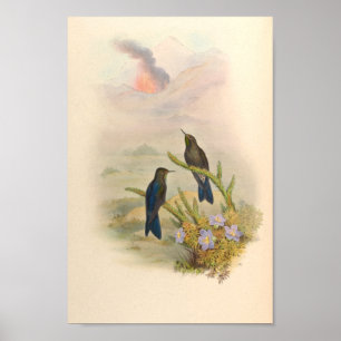 Poster Oiseaux d'art vintages Fleurs d'impression