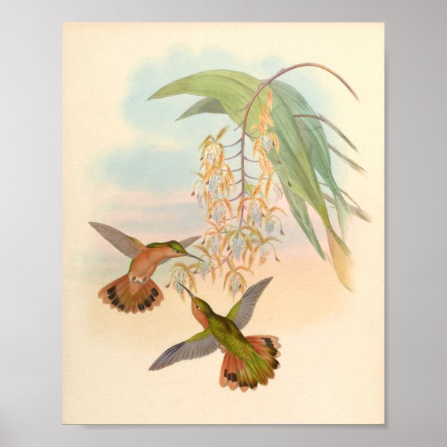 Poster Oiseaux d'art vintages Fleurs d'impression (Devant)