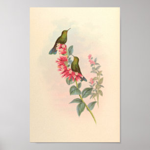 Poster Oiseaux d'art vintages Fleurs d'impression