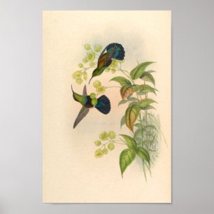 Poster Oiseaux d'art vintages Fleurs d'impression