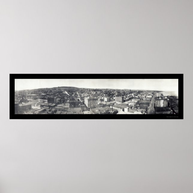 Poster Oiseaux de Duluth MN Photo 1914 (Devant)