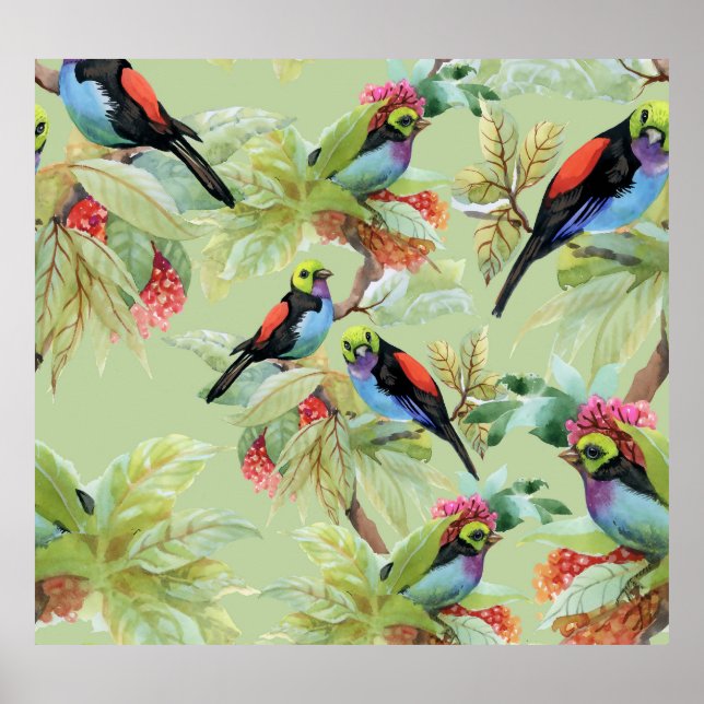 Poster Oiseaux de fleurs d'été : Motif tropical (Devant)